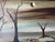 1960s 1969 Vintage Geho Surrealist Landscape Oil Painting, Framed For Sale - Image 5 of 11