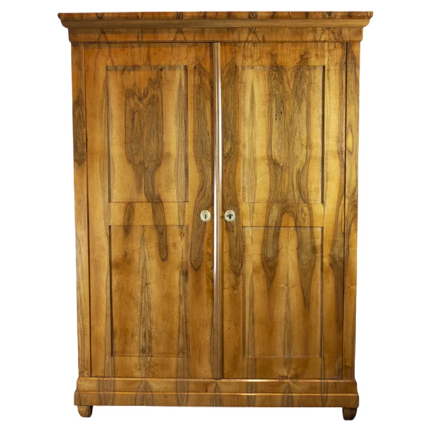 19th Century Biant Command Walnut Wardrobe | Chairish