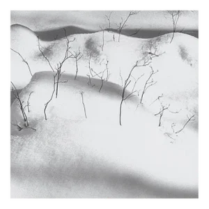 "Snowfall" Black and White Silver Gelatin Photograph by Joseph Jurson