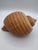 Contemporary Vintage Large Tun Ocean Snail Shell Seashell For Sale - Image 3 of 8