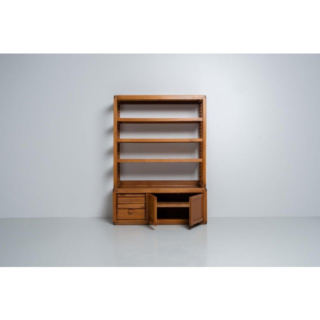French B10 Bookcase Cabinet by Pierre Chapo, 1960 For Sale - Image 6 of 12