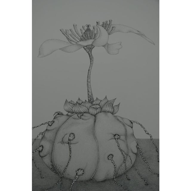 Gochka Charewicz The Hatching Original lithograph Signed in pencil Limited edition of 29 (the number pictured is provided...