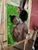 Love and Protection, Oil Painting by Seromo Okoro, (2024), Father' and Daughter's Love For Sale - Image 6 of 6