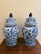 Chinoiserie Chinoiserie Large Blue and White Porcelain Ginger Jars, Pair For Sale - Image 3 of 6