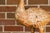 An Italian carved wooden duck sculpture from circa 1920 with light painted accents and textured base. Enhance your living...