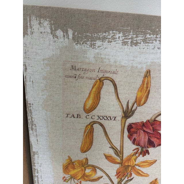 Botanical Canvas Wall Art- Set of 4 For Sale In Chicago - Image 6 of 12
