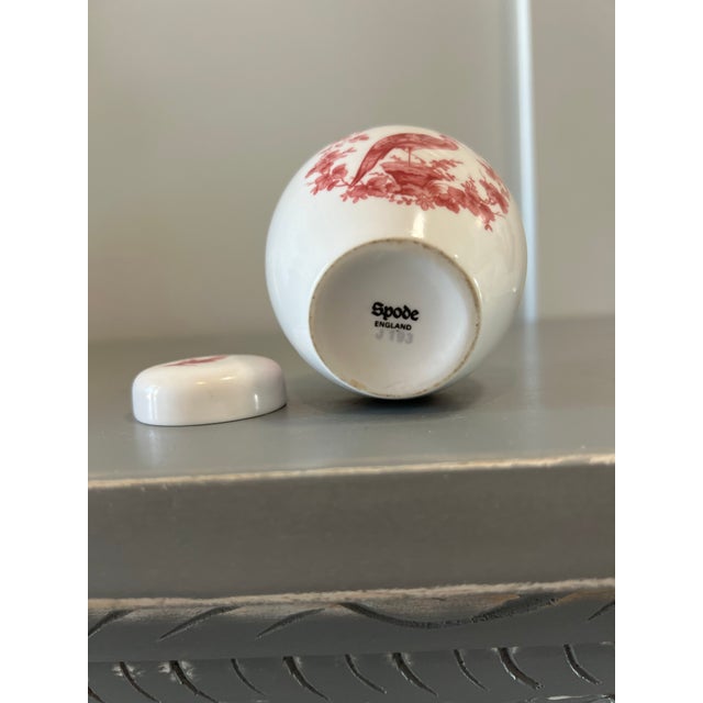 Spode Miniature Spode Ginger Jar Red Transferware For Sale - Image 4 of 8