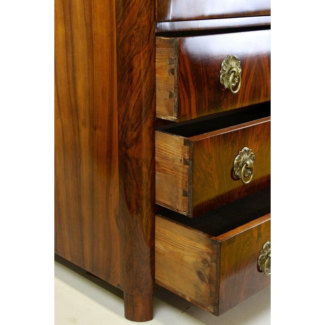 Brown 19th Century Biedermeier Chest of Drawers, Austria, 1830s For Sale - Image 8 of 18