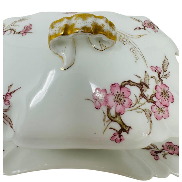 Antique Haviland Limoges Gravy Boat With Attached Underplate, Schleiger 222 Pink Cherry Blossom Floral Pattern, 1876-1889 H&Co/L Mark For Sale - Image 12 of 18
