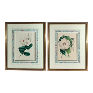 Antique Botanical Prints by Sir Joseph Paxton From the Magazine of Botany For Sale