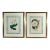 Antique Botanical Prints by Sir Joseph Paxton From the Magazine of Botany For Sale