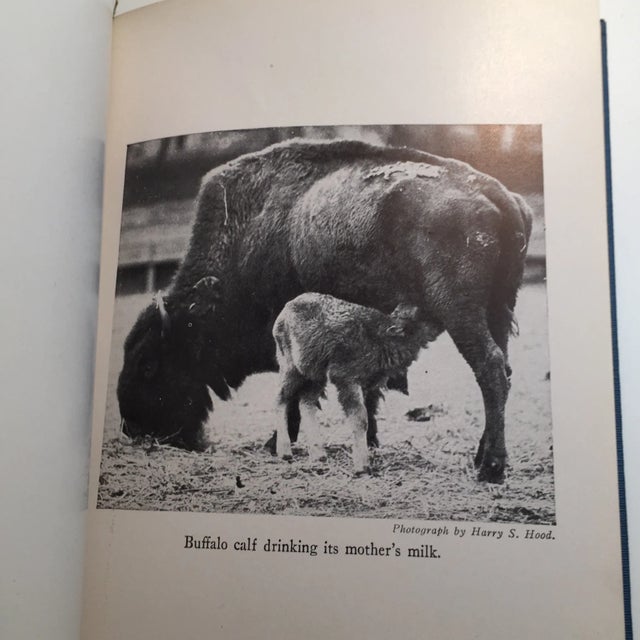 'Growing Up' Vintage Book For Sale - Image 9 of 11