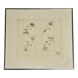 1981 Megan Hart Jones Etching Framed Shells & Flowers 7/100 Limited Edition For Sale