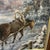 Textile 20th Century European School Oil on Canvas by Polish Artist Edward Mesjasz (1929-2007) Depicting Winter Horses Hauling Woods For Sale - Image 7 of 12