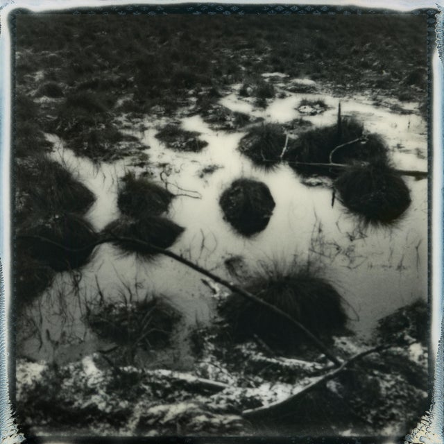 Ugne Pouwell, Baltic Wetlands, 2025, Polaroid Landscape Photography, Limited Edition 20 For Sale