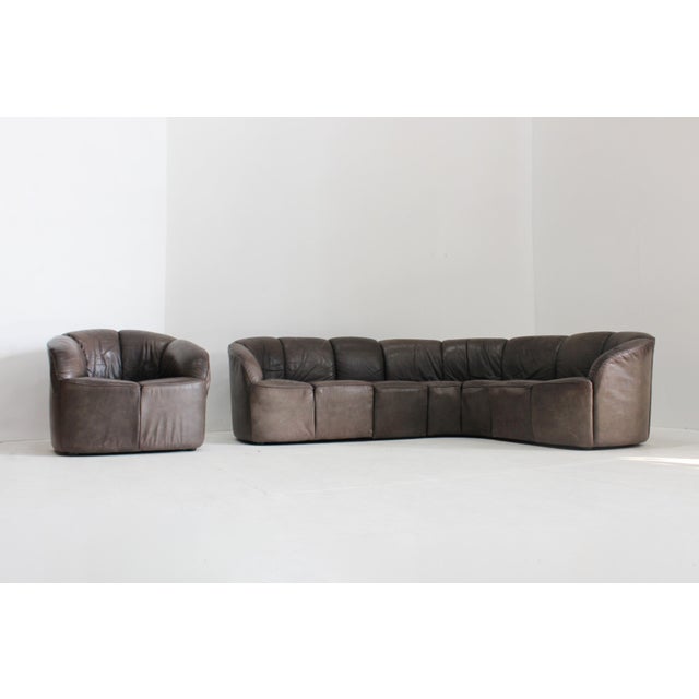 Brown Vintage Piccolino Modular Sofa and Lounge Chair in Leather by Walter Knoll, 1960s, Set of 5 For Sale - Image 8 of 12