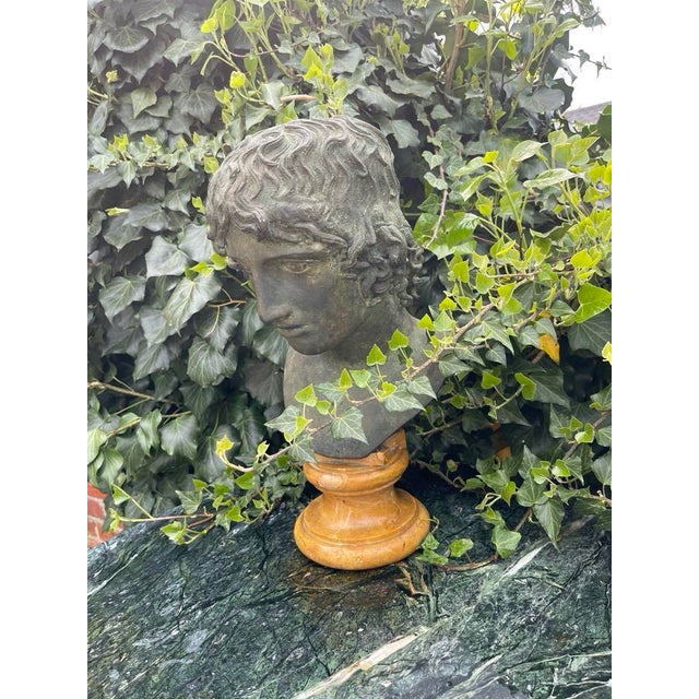 19th Century Grand Tour Bronze and Marble Bust of a Youth For Sale - Image 5 of 12