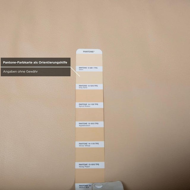 Cream Leather Nelson Armchair in Cream Beige from Walter Knoll For Sale - Image 8 of 14