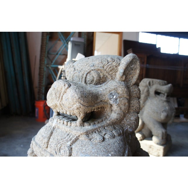Late 20th Century Vintage Chinese Concrete Foo Dogs Guardian Lion Statues A Pair Chairish