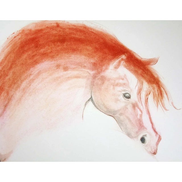 1980s William Papas "Resting Filly" Hand Signed Art Color Etching Horse Equine For Sale - Image 5 of 6