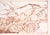 Orange Two High Desert Landscapes - Line Drawing in Sepia-Toned Ink by Laurence Sisson For Sale - Image 8 of 8
