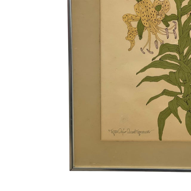 Metal Vintage Botanical Tiger Lily Illustration by Wendy Wheeler, Signed, Framed Floral Art. For Sale - Image 7 of 10
