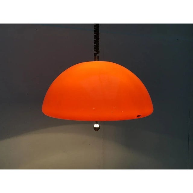 Space Age Cabras Pendant Lamp by Luigi Massoni for Guzzini For Sale - Image 16 of 18
