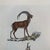 French French Antique 18th Century "Le Antilope" Animal Engraving Hand Colored Signed Artwork For Sale - Image 3 of 9
