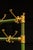 Metal Mid-20th Century Schoolhouse Coat Rack in Green and Yellow For Sale - Image 7 of 7