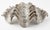 Hollywood Regency Vintage Silvered Clam Shell For Sale - Image 3 of 11