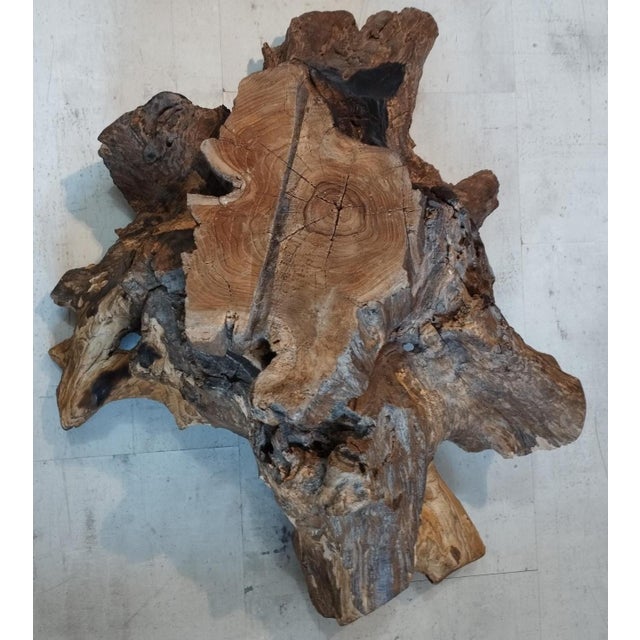 Brutalist Sculptural Wooden Centerpiece, 1970s For Sale - Image 9 of 17