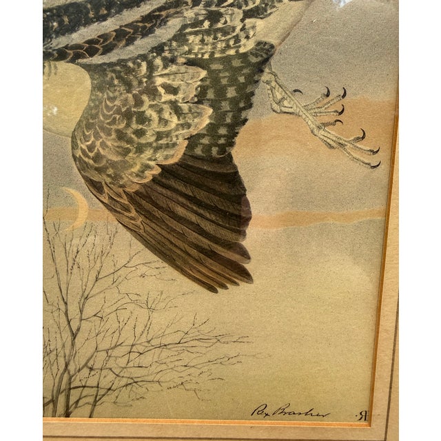 American Rex Brasher Hand-Colored Print of the American Woodcock, Birds & Trees of North America, C. 1929–1932 For Sale - Image 3 of 10