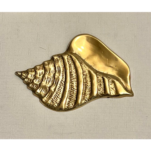 Vintage Palm Beach Regency Polished Brass Sea Shell Wall Decor - Set of ...