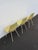 Herman Miller Eames Set of 3 Fiberglass Shell Chairs 1960s Light Yellow 6640 For Sale - Image 16 of 18