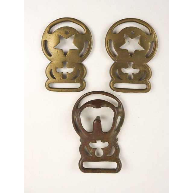 Antique Brass Horse Harness Buckles Set of 3 Chairish