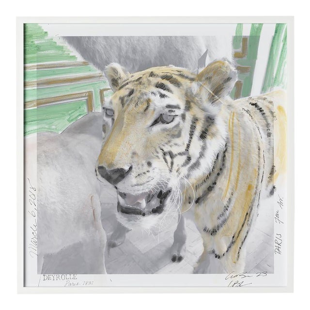 Deyrolle by Lia Burke Libaire in White Frame, Medium Art Print on Paper For Sale