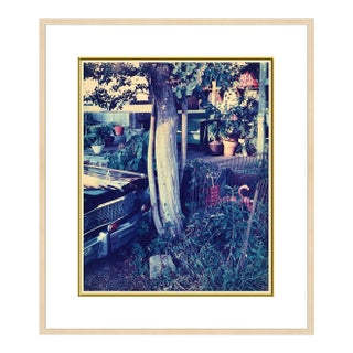 Late 20th Century Untitled (BI 20), Birney Imes For Sale