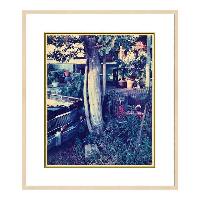 Late 20th Century Untitled (BI 20), Birney Imes For Sale