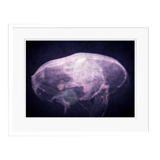 The Dreaming by Stuart Möller Framed For Sale