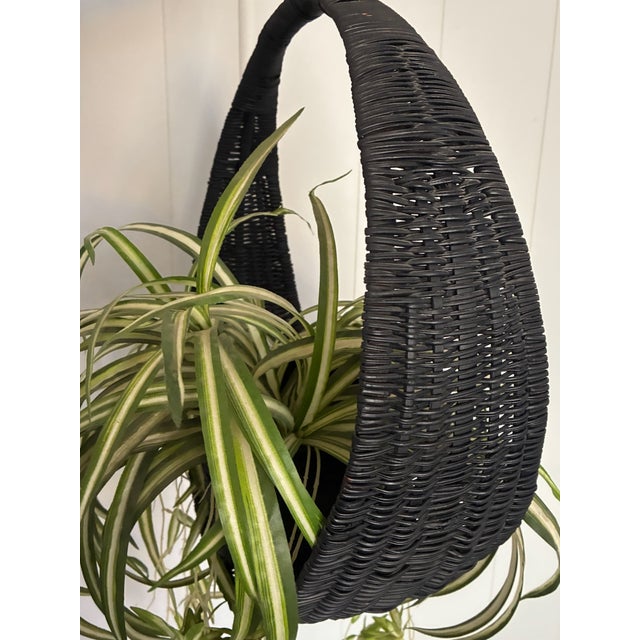 1970s Hanging Swag Silk Fern in Black Basket For Sale - Image 4 of 10