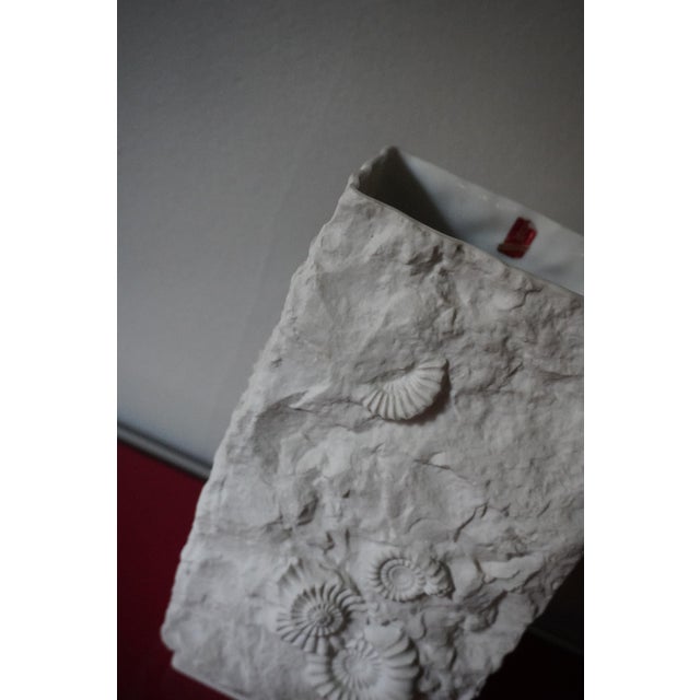 Vintage German Vases with Fossil Design in Biscuit Porcelain from AK Kaiser, 1960s, Set of 5 For Sale - Image 14 of 18