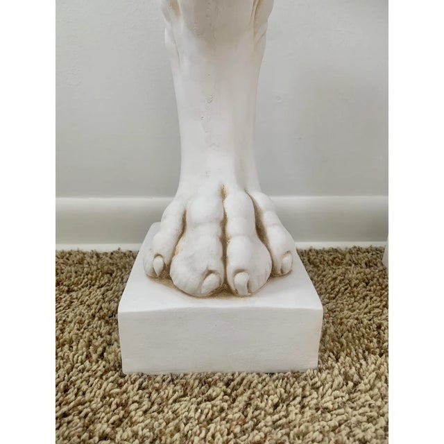 Pair of Grand Tour Roman Lion Pedestals in Distressed White Plaster For Sale - Image 13 of 13