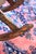 1940s 1940s Hand Carved and Handmade Rustic Rocker For Sale - Image 5 of 18