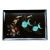 Vintage Couroc of Monterey Turquoise Angel Fish Tray With Genuine Abalone and Seaweed Inlay For Sale