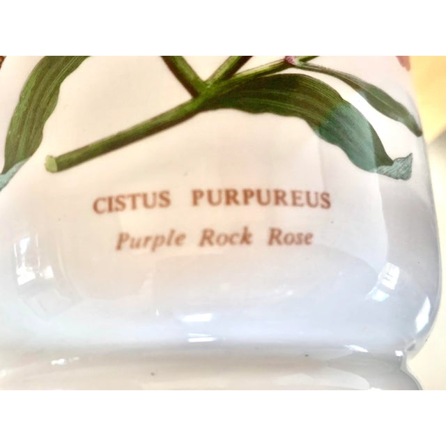 Portmerion Botanic Garden Purple Rock Rose Large Vase For Sale - Image 4 of 6