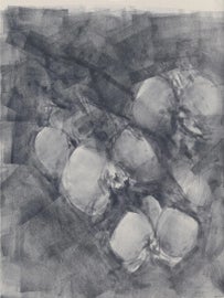 Example of Carrie Bergey Paintings