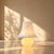 The "Murano 007" label is present, a label that identifies the prestigious production of Barovier & Toso. This piece has...