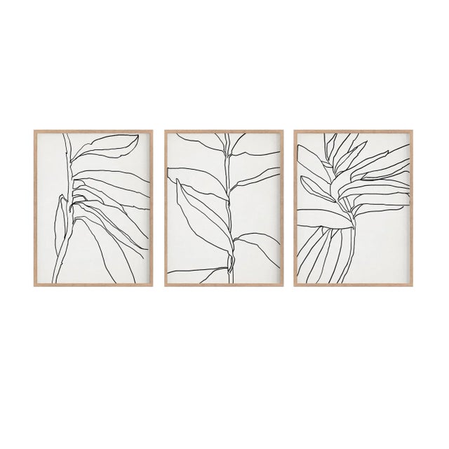 2020s Contemporary Botanical Giclee Prints, Framed - Set of 3 For Sale - Image 5 of 5
