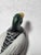 Vintage Ceramic Mallard Duck Figurine For Sale In San Francisco - Image 6 of 11