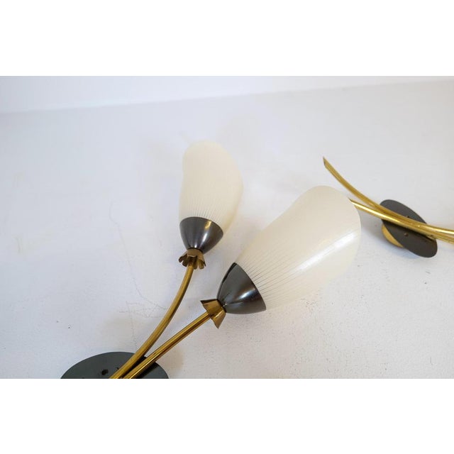 Mid-Century Brass and Opaline Wall Lamps from ASEA, Sweden, 1950s, Set of 2 For Sale - Image 14 of 16